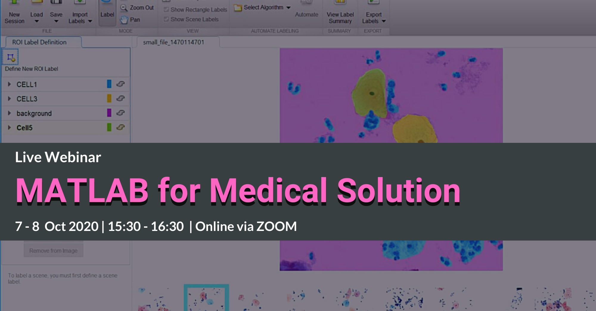 MATLAB for Medicals webinar for Chulalongkorn University